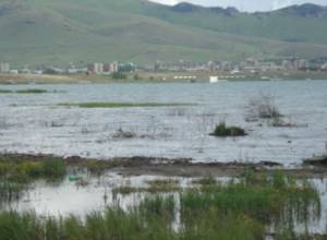 "В Сотке ничего не останется, кроме отходов"