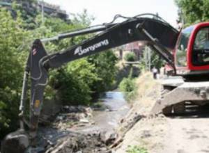 Экологи сигнализируют о бедствии в Ереване