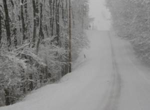 Дороги труднопроходимы