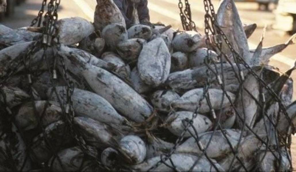 fc7af142dd85274a11b36f8186f0dec2