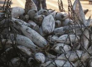 Министр запретил