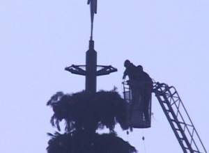 Украшают главную елку страны