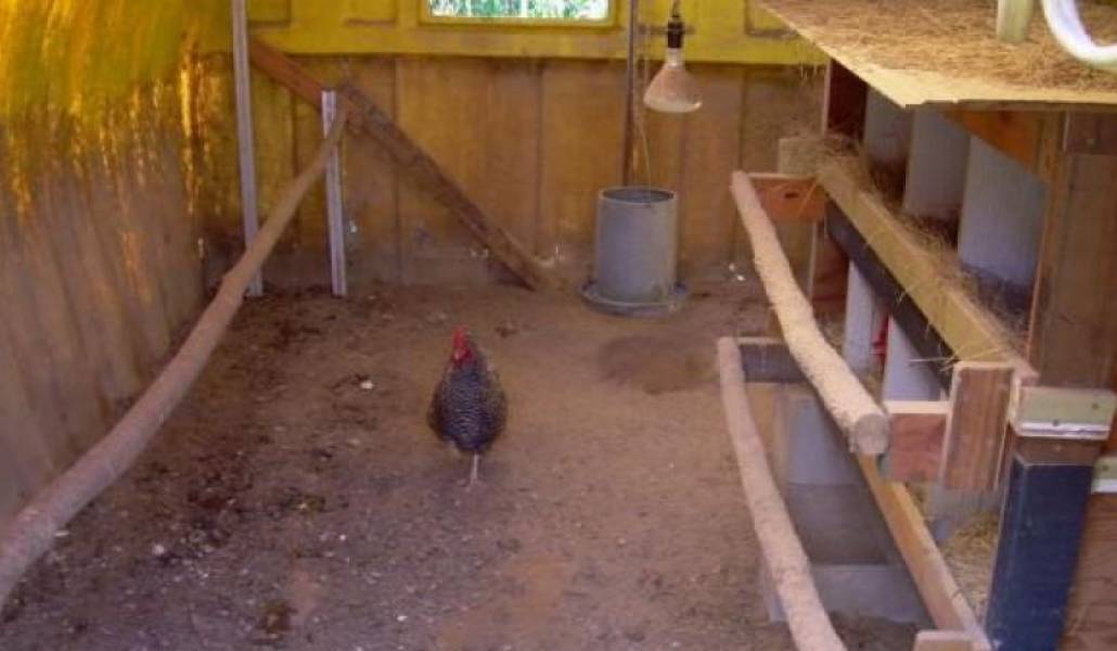 b8951edae76fd425f4275902a843db0e