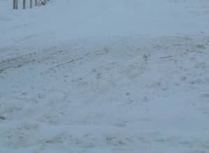 Завтра - первый день зимы