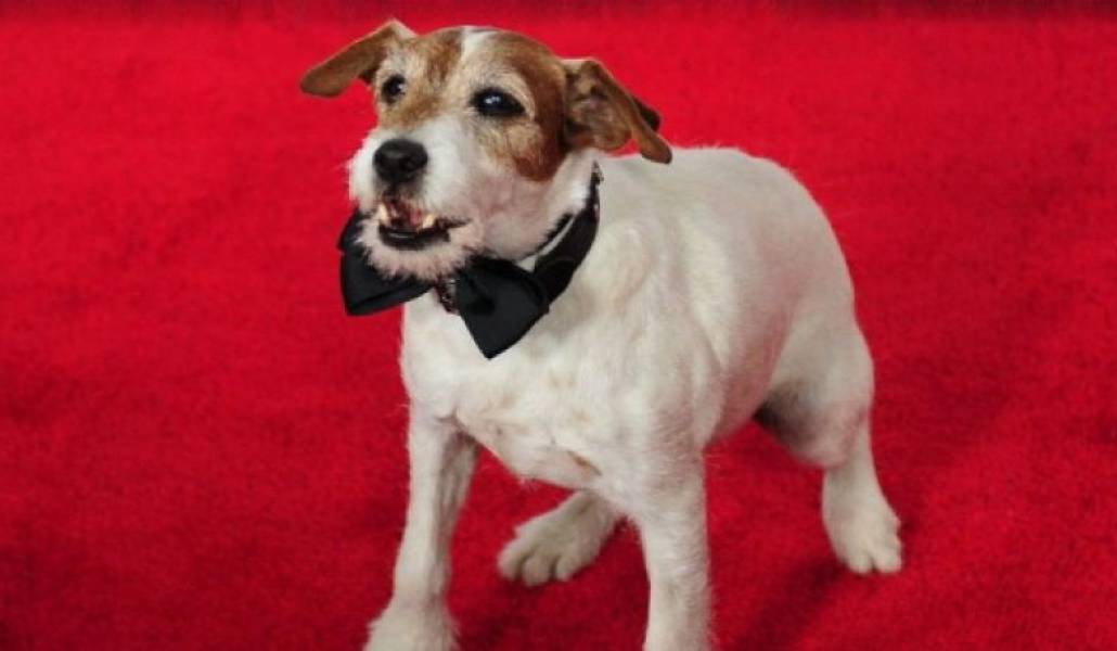 c2d2ec69f09303465e903b7c84c961fe