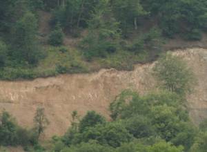 Вопрос Тегута - в Страсбурге
