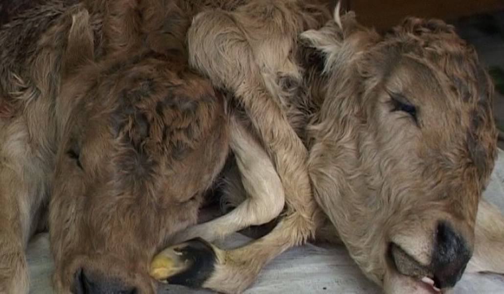 127c2c5dbb79144629c45242f8688a27