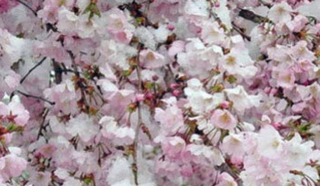 743ba094a9d02b93376ce372b0116410