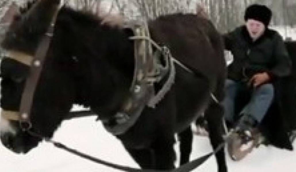 dd4d9a914847716a854435ddb31e891b