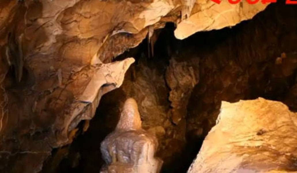 ccfe65b321646a427b211f7390edb00d