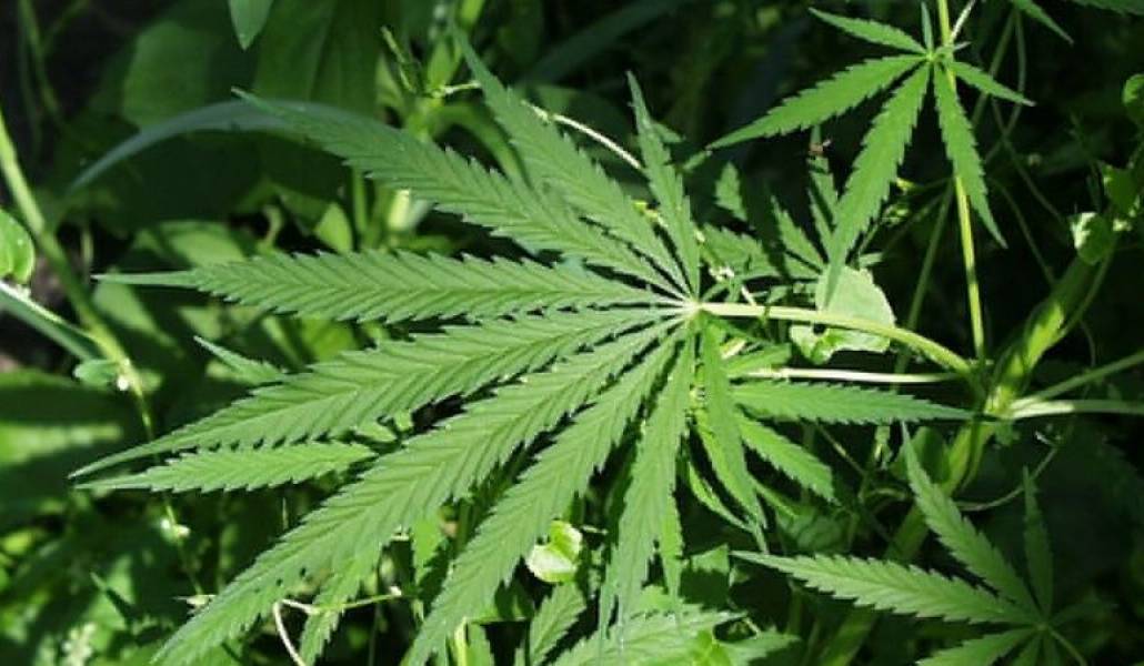 838add78340c1d6613609d6898a85dc8