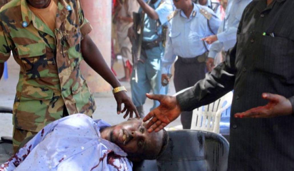 6141517600870e256abf8bd3dd7c8260