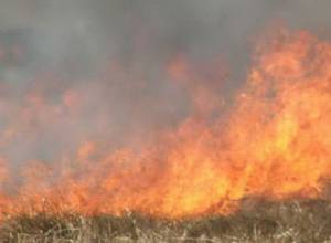 Пожар на «Кривой»