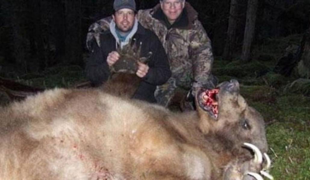 eddb27846b88c4d87d69d4f8be4771c5