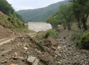 Собирают подписи