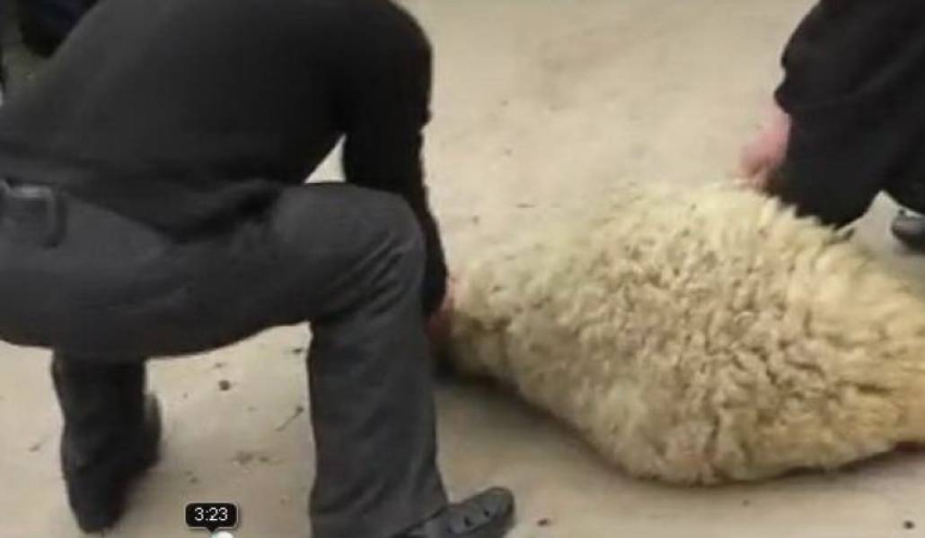 60a6b481f9c41dfae7051bc72d3b891c