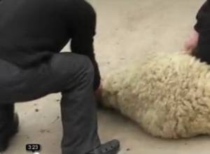 «Я очень привязан к этому селу»