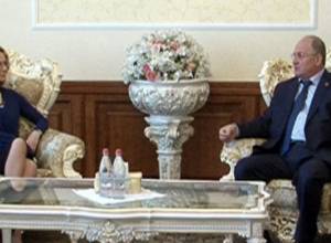 Самвел Никоян принял главу наблюдательской миссии