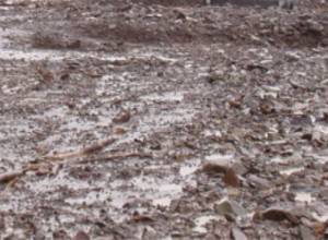 Оползень «создал» озеро