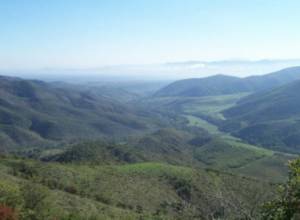 Подсчитан ущерб