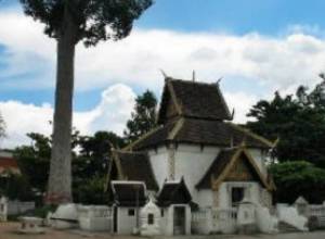 76 буддийских монахов были покусаны пчелами