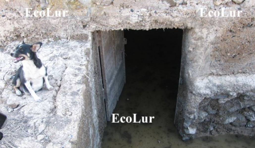 566f9c35531a9ea4bbf5f25b21abf4d8