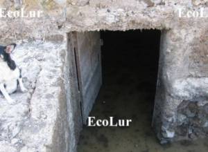 Наводнение по соседству с АЭС