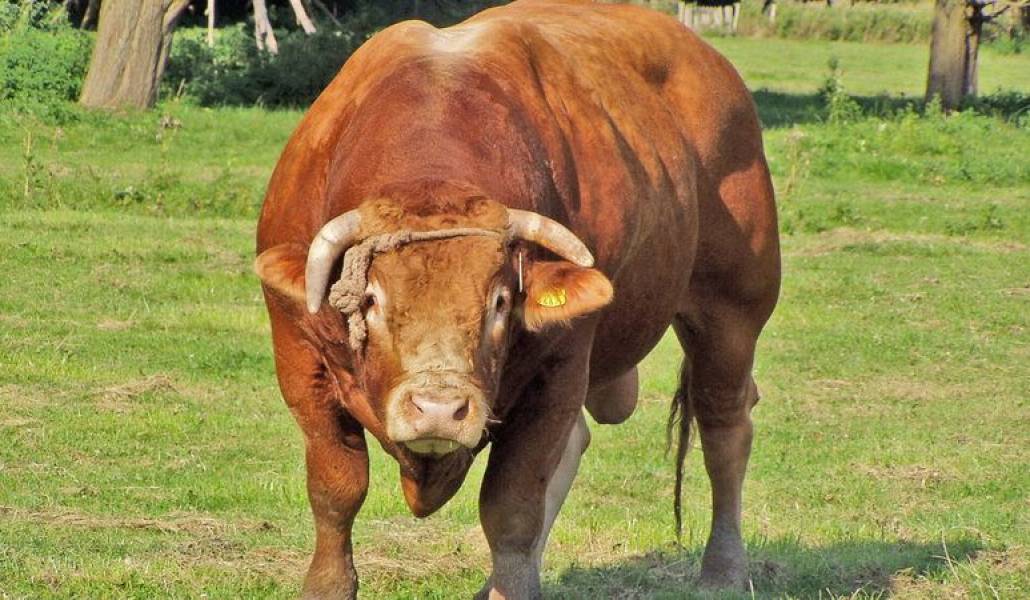 7229bc066c7978ae5b4a5015afd0074b