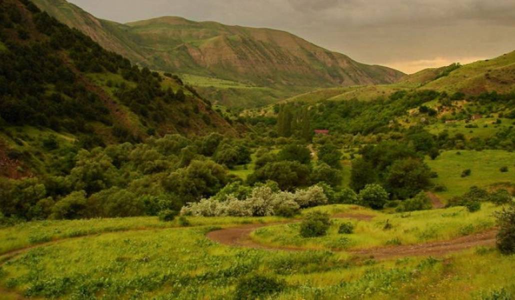 a62c8f57de4e394aefdcb93c1f301fbc