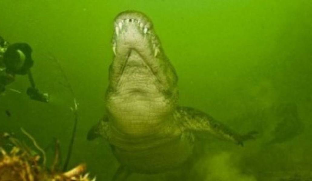 a2d9c1092e0052917bb8428e8caf2d57