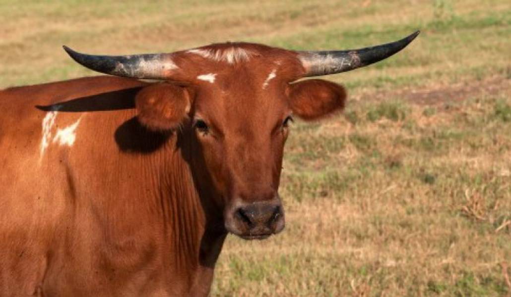 a564a8d09ab80d634780bfe0b5689a76