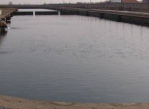 Спасатели спасли 4 людей