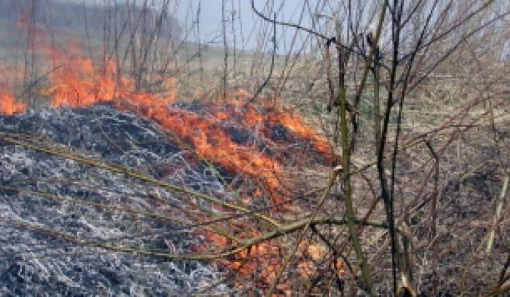 ff28552d85bd022040f775e046951e7e