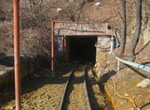 Комбинат заложен в банке