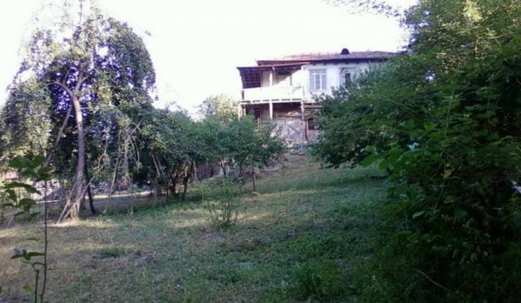 88f1542e8ecb8082c6d63f30fa976f00