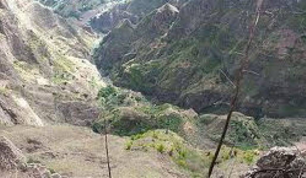 f3d484a330e8427198c2ed0f0ccf35f2