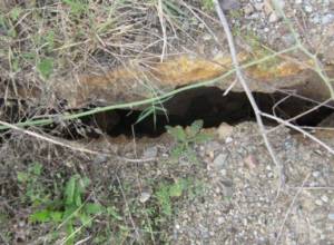 «Деньги выделили, только, когда все рухнуло»