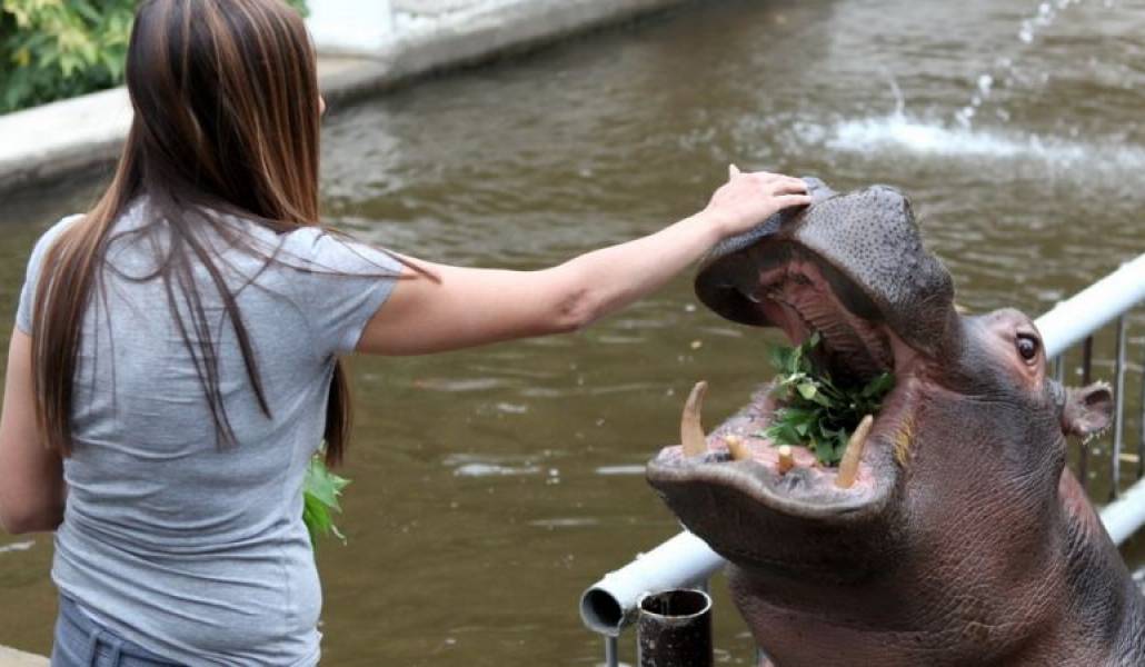 f4839f0524c6334d0796cfbaeb9ce084