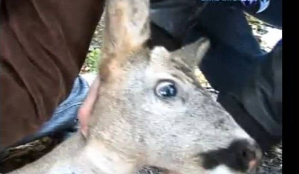 8d22df017be08ba27b4b8c828b79894c