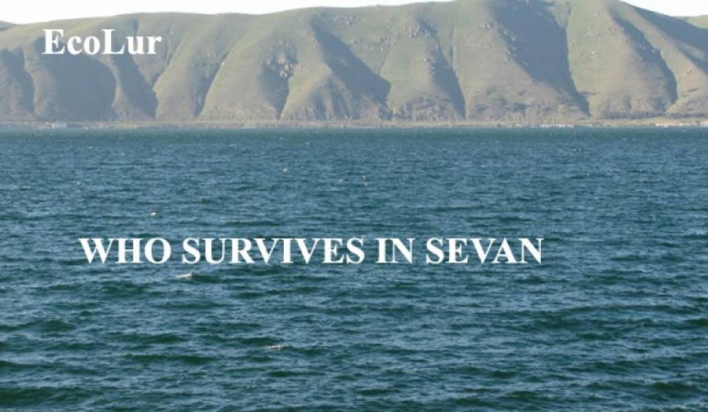 0c20f70ecc1b5b6e499844cf1df89c98