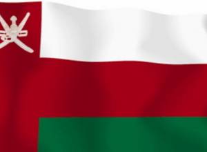 Вручил копии  главе МИД