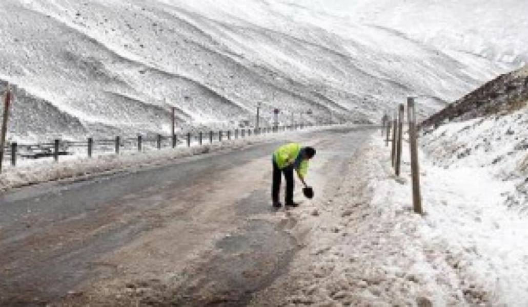 919e1f1c08601ba9264606bcb81994d5