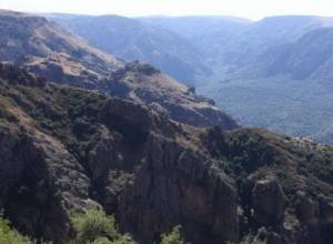 Кто назначен временным директором?