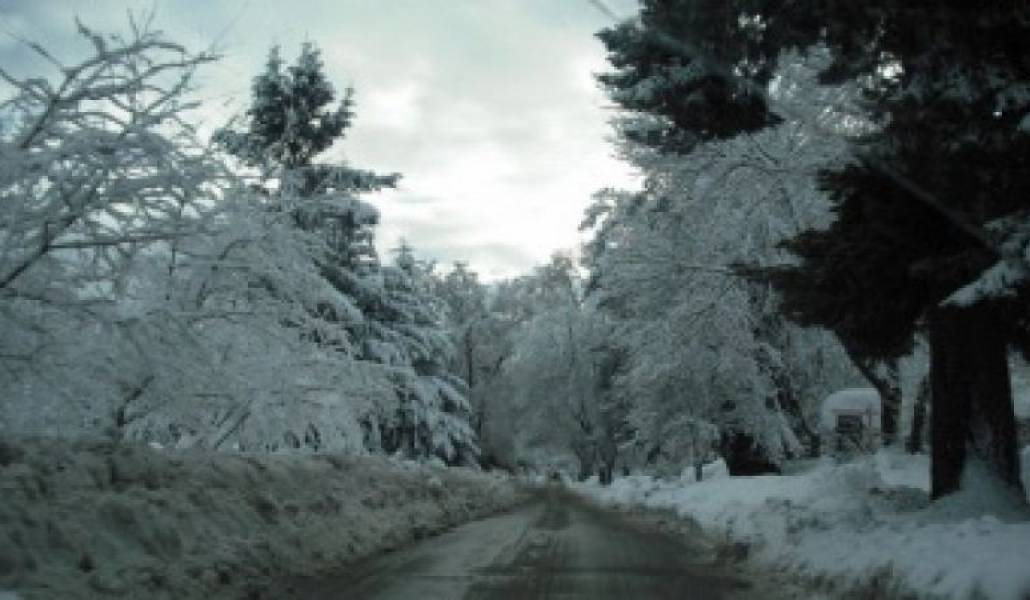 a700bf132d046778f2bf715192da3bad