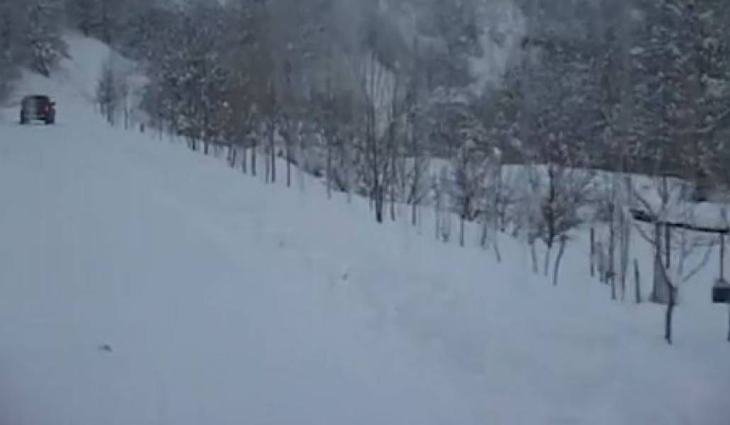 23afa0efdc921d89981ff20469831c41