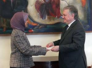 Налбандян принял посла