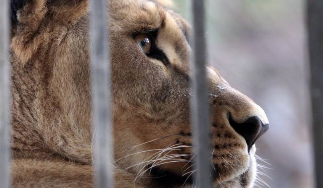 514d3eb0f9cc1089f24fa00d21d22100