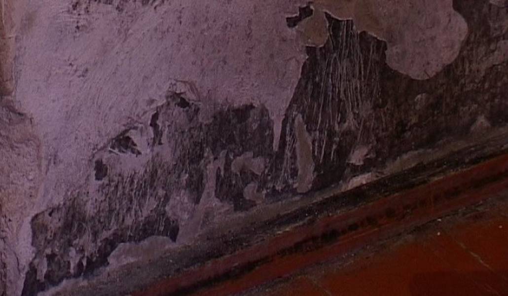 77c34013d8084a0f49188b21f66cb790