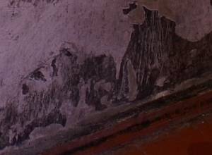 Влажная постель, плесень на стенах