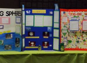 Неделя науки